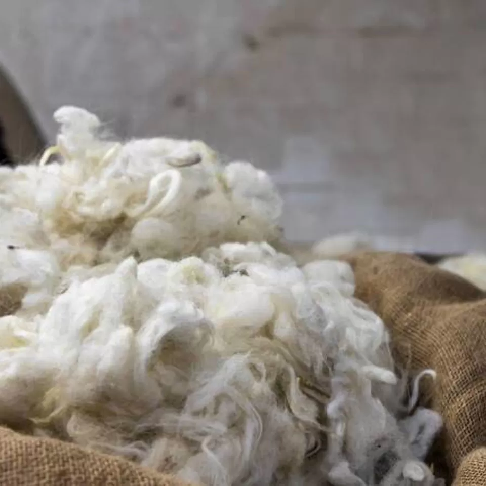 Our wool mattresses are hand upholstered with the highest quality fillings including pure hand-teased wool from our own Dartmoor flocks. Once sheared, the wool goes through a meticulous cleaning process, removing all contaminants. The fibres are then painstakingly sorted based on their quality, ready for use in our mattresses, duvets and pillows.
