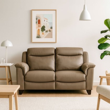 Manhattan 25 2 Seater Sofa Static in Leather Manhattan 25 2 Seater Sofa Static in Leather