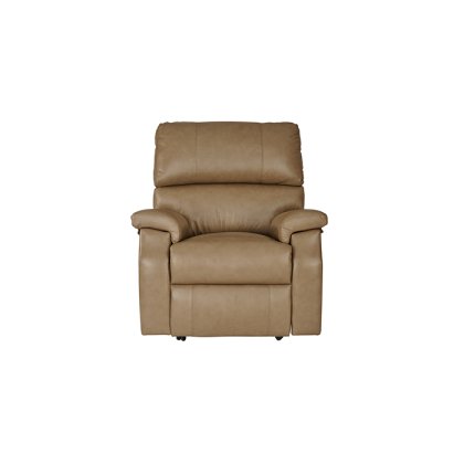 Newstead Standard Powered Recliner in Leather