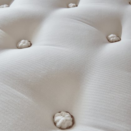 Organic No. 1 Mattress