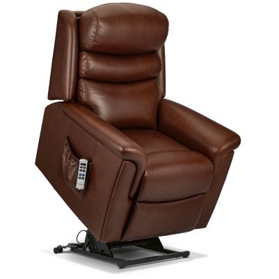 Leyburn Riser Recliner In Leather