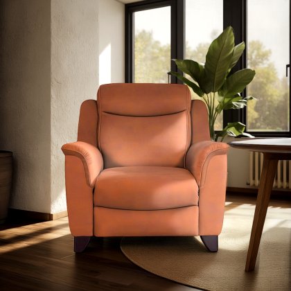 Manhattan Armchair in Leather