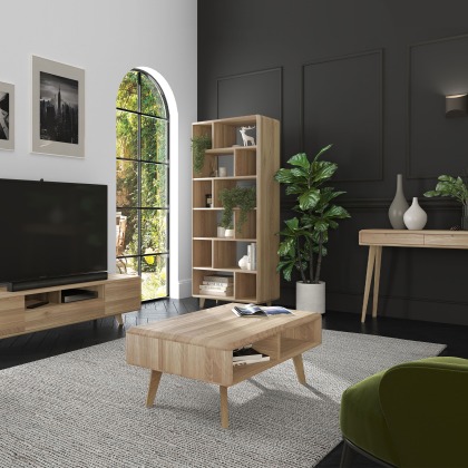 Leo 2 Drawer Console Table
