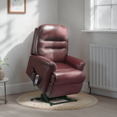 Keswick 2 Motor Riser and Recliner Adjustable Lumbar Royale Leather Keswick 2 Motor Riser and Recliner Adjustable Lumbar Royale Leather