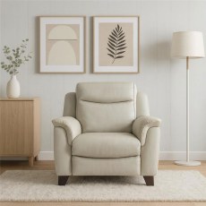 Manhattan 25 Static Armchair In Leather