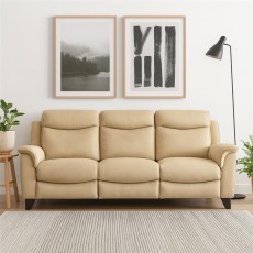Manhattan 25 3 Seater Sofa Static in Leather