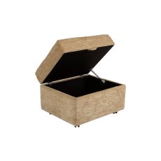 Celebrity Storage Footstool