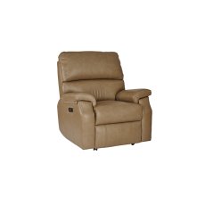 Newstead Standard Riser Recliner in Leather
