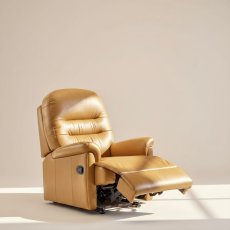 Keswick Riser Recliner In Leather