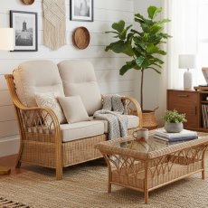 Viola 2 Seater Sofa Viola 2 Seater Sofa