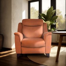 Manhattan Armchair in Leather
