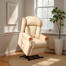 Celebrity Canterbury Grande Riser Recliner in Leather Celebrity Canterbury Grande Riser Recliner in Leather