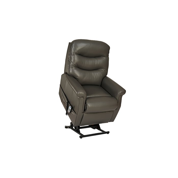 Celebrity Hollingwell Petite Riser Recliner in Leather