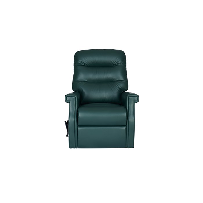 Celebrity Sandhurst Fixed Chair Standard in Leather