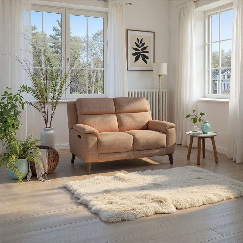 LZ Bella 2 seater rec heated fab