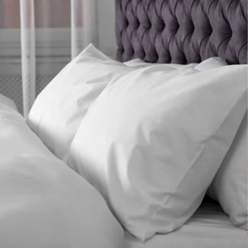 Enchanted House Enchanted House 100% Wool Pillows (pair)