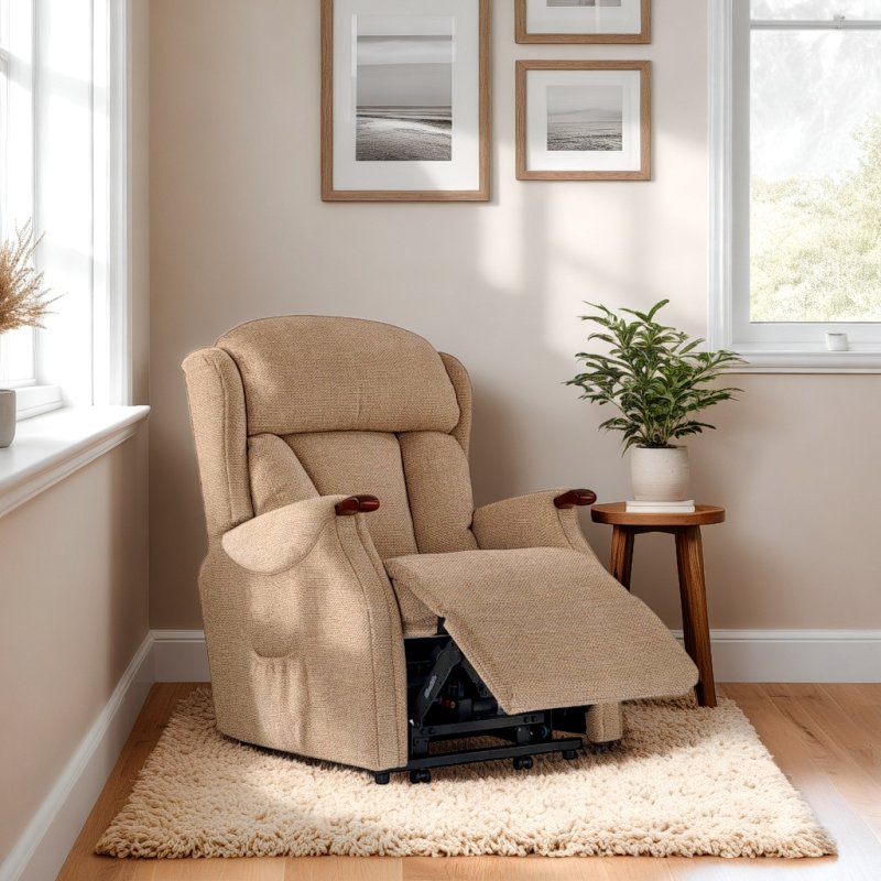Celebrity Celebrity Canterbury Standard Riser Recliner in Fabric