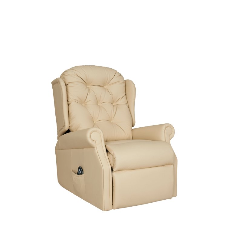 Celebrity Celebrity Woburn Standard Chair in Leather