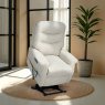 Celebrity Hollingwell Petite Riser Recliner in Performance Plus