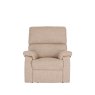 Celebrity Newstead Fixed Chair in Performance Plus