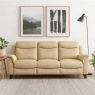 Manhattan 25 3 Seater Sofa Static in Leather