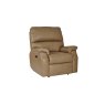 Celebrity Newstead Standard Riser Recliner in Leather