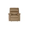 Newstead Fixed Chair Standard in Leather