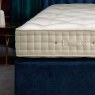 Wool Origins 10 Mattress (Zipped and Linked)