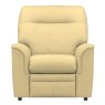 Hudson Armchair Como Cream