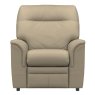 Hudson Armchair Madri Putty
