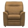 Hudson Armchair Rocco Truffle