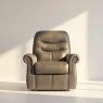 G Plan Holmes Chair in Leather