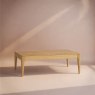Romana Coffee Table Main Image HF