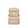 Celebrity Celebrity Canterbury Grande Recliner in Leather