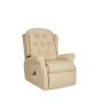 Celebrity Woburn Standard Chair in Leather