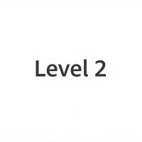 Level 2