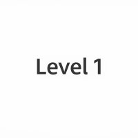 Level 1