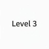 Level 3