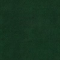 Delphi-Holly