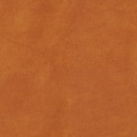 Delphi-Orange