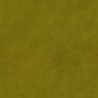 Delphi-Seagrass