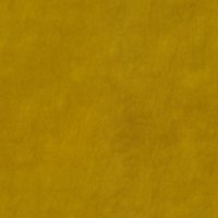 Delphi-Sunflower