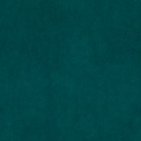 Delphi-Teal