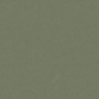 N011_Genesis_Seafoam