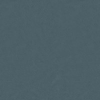 N012_Genesis_Ocean_Side
