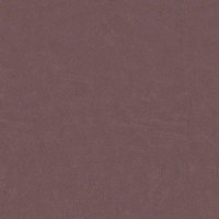 N013_Genesis_Plum