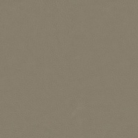 N014_Genesis_Taupe