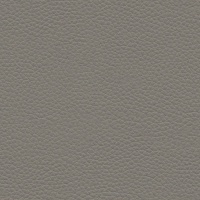 Dallas-Charcoal-N835