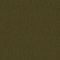 Blythe Olive