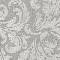 Austen Dove  